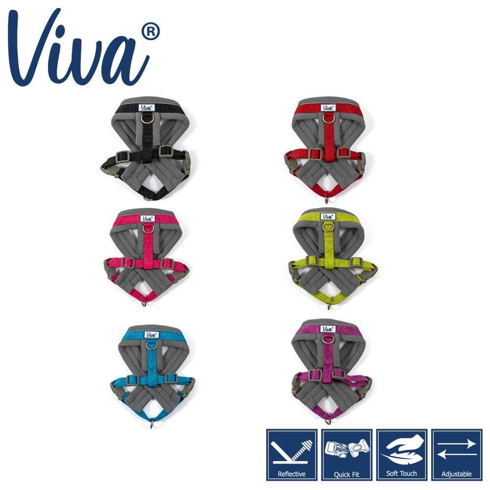 Ancol Viva Padded Harness-Pet n Pony-Ancol