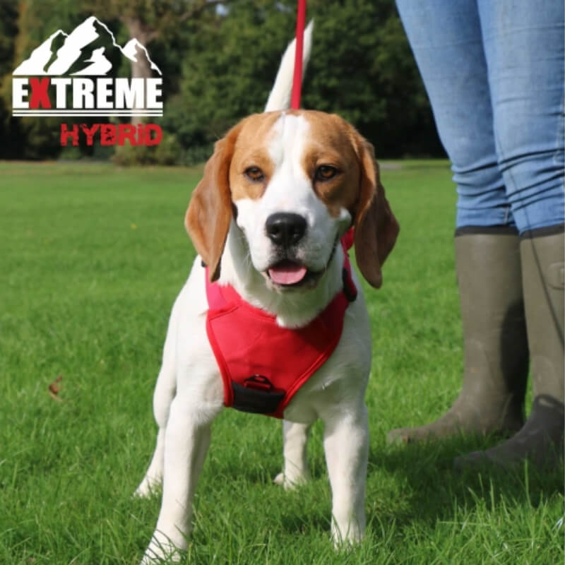 Ancol Extreme Hybrid Harness Poppy Red-Pet n Pony-Ancol