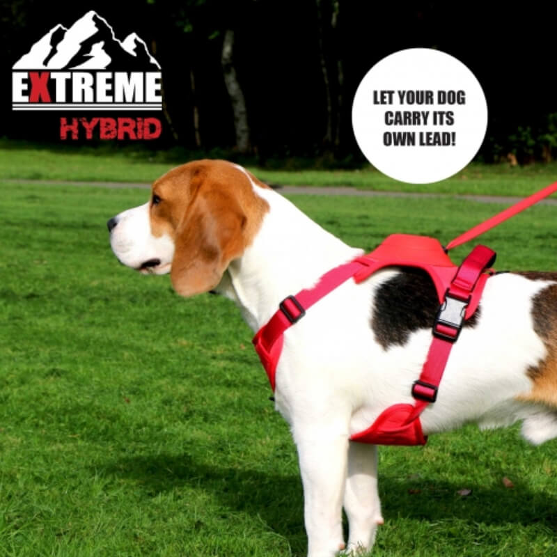 Ancol Extreme Hybrid Harness Poppy Red