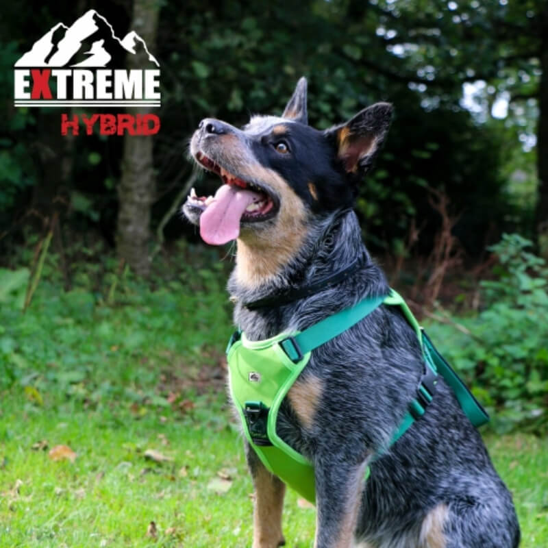 Ancol Extreme Hybrid Harness Field Green