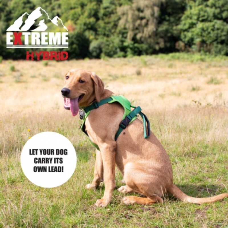 Ancol Extreme Hybrid Harness Field Green-Pet n Pony-Ancol