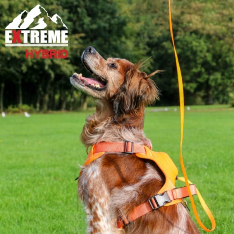 Ancol Extreme Hybrid Harness Hazard Orange-Pet n Pony-Ancol