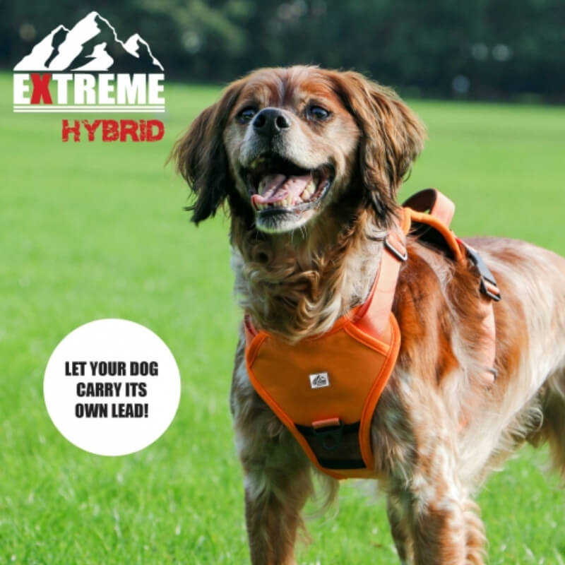 Ancol Extreme Hybrid Harness Hazard Orange