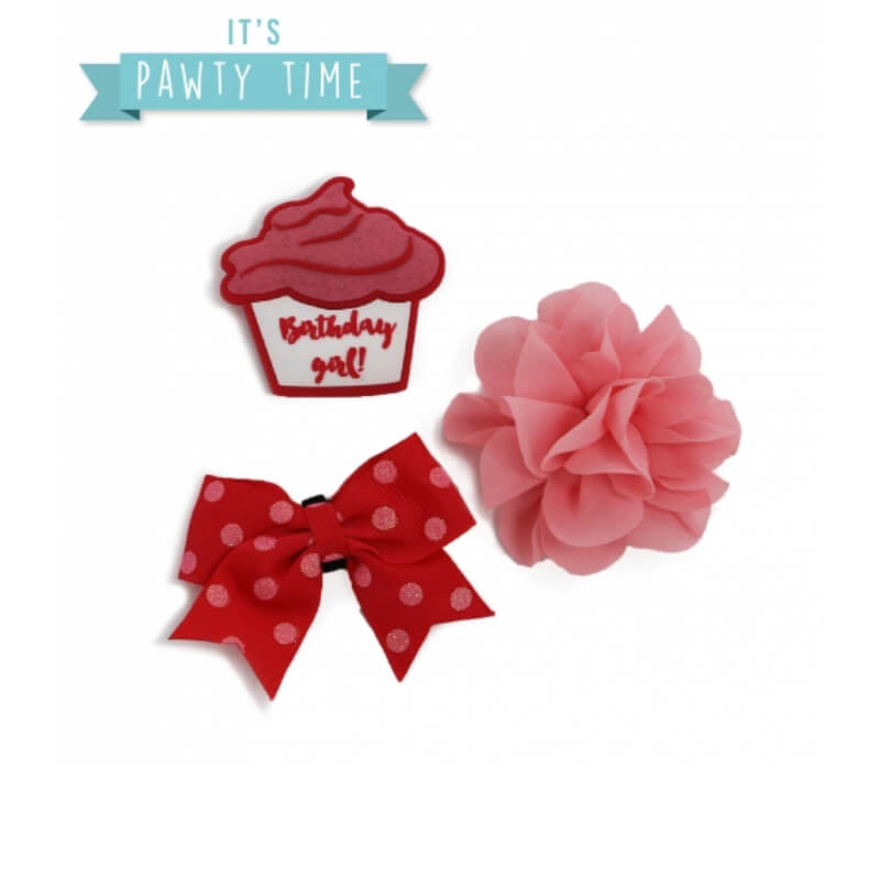 Ancol Its My Birthday Collar Accessories Pink-Pet n Pony-Ancol