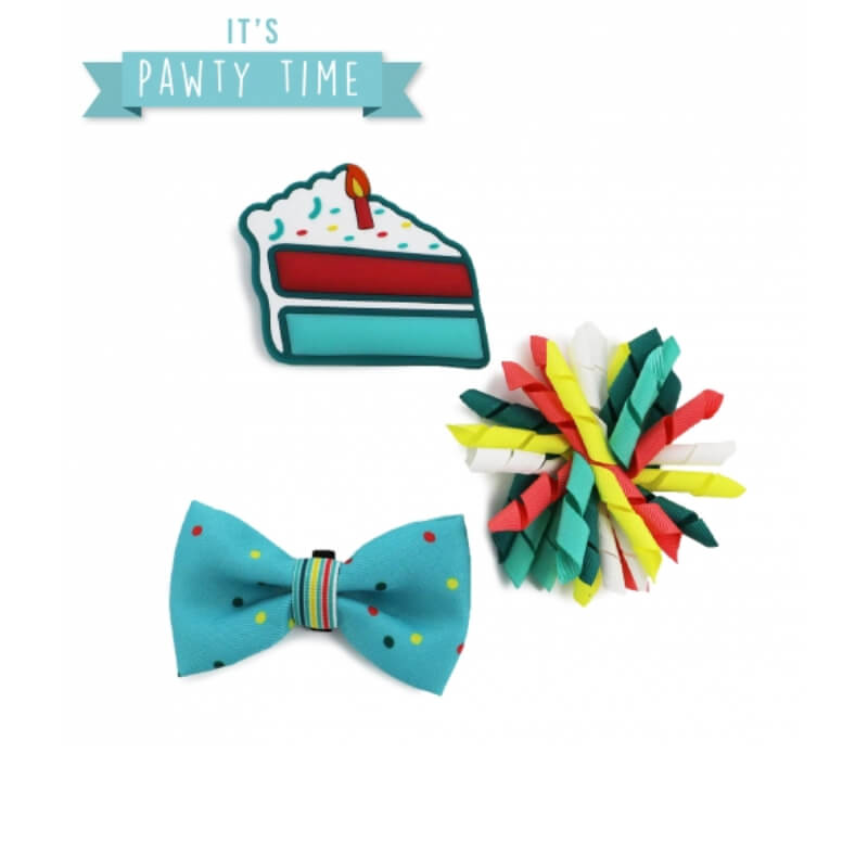 Dog birthday set: cake, bowtie, pom-pom, and Ancol Its My Birthday Collar Accessories in blue.