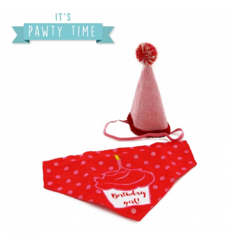 Ancol Its My Birthday Hat &amp; Bandana Pink-Pet n Pony-Ancol