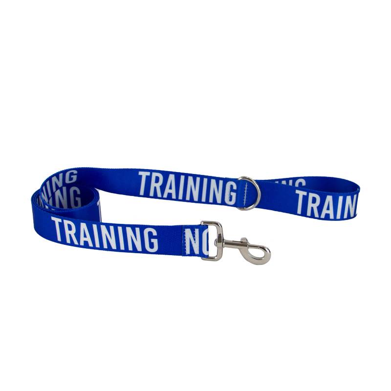 Ancol Awareness Lead TRAINING 40mm, blue with TRAINING print and sturdy metal clasp.