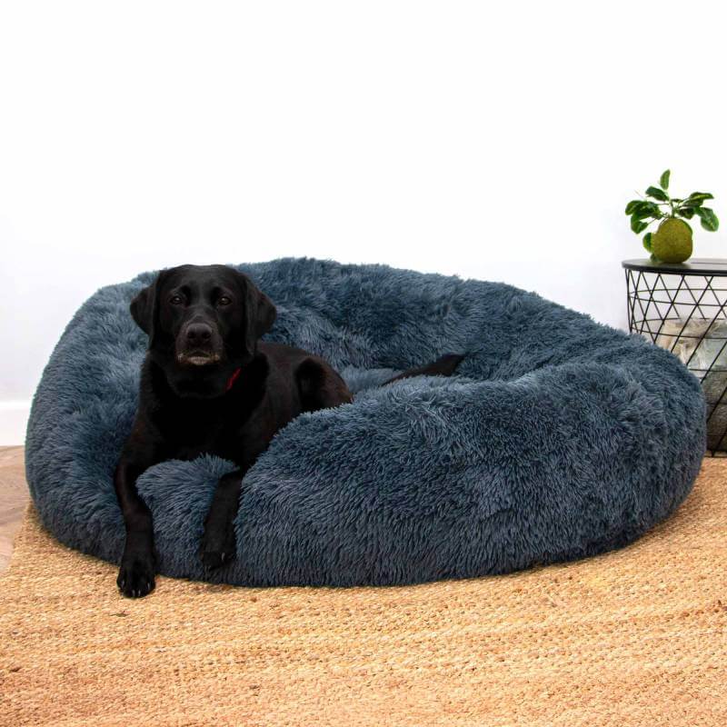 Black dog relaxing on the Ancol Giant Super Plush Donut Bed 130cm Graphite in a cozy room.