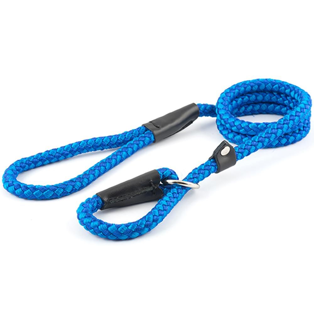 Ancol Gundog Slip Lead: strong blue nylon with black plastic and metal accents.