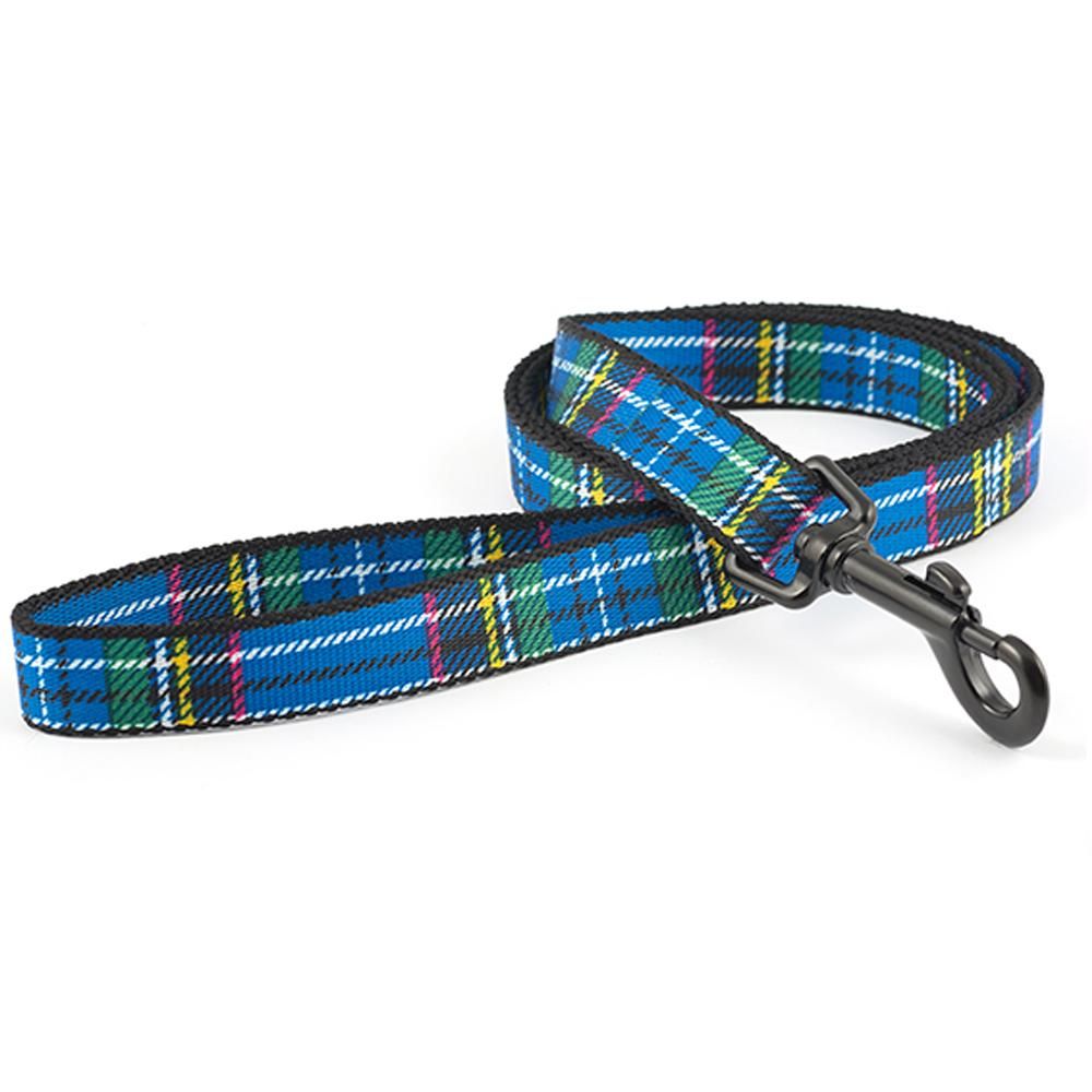 Ancol Tartan Lead by Ancol, blue tartan nylon with black clip, coiled on white background.