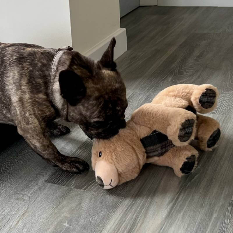 Ancol Heritage Tartan Bear