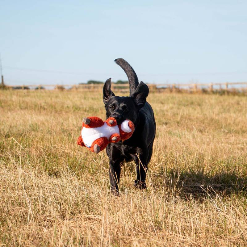 Ancol Heritage Samantha Squirrel