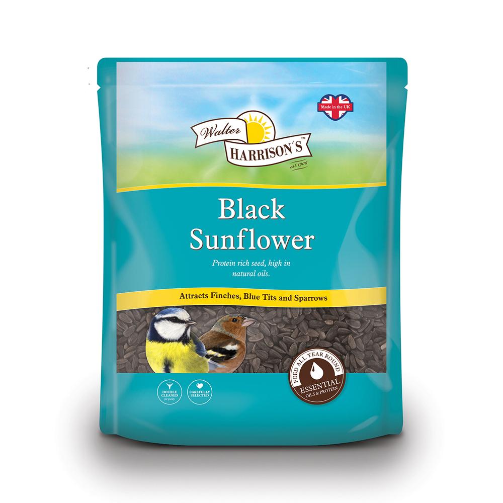 Walter Harrisons Black Sunflower