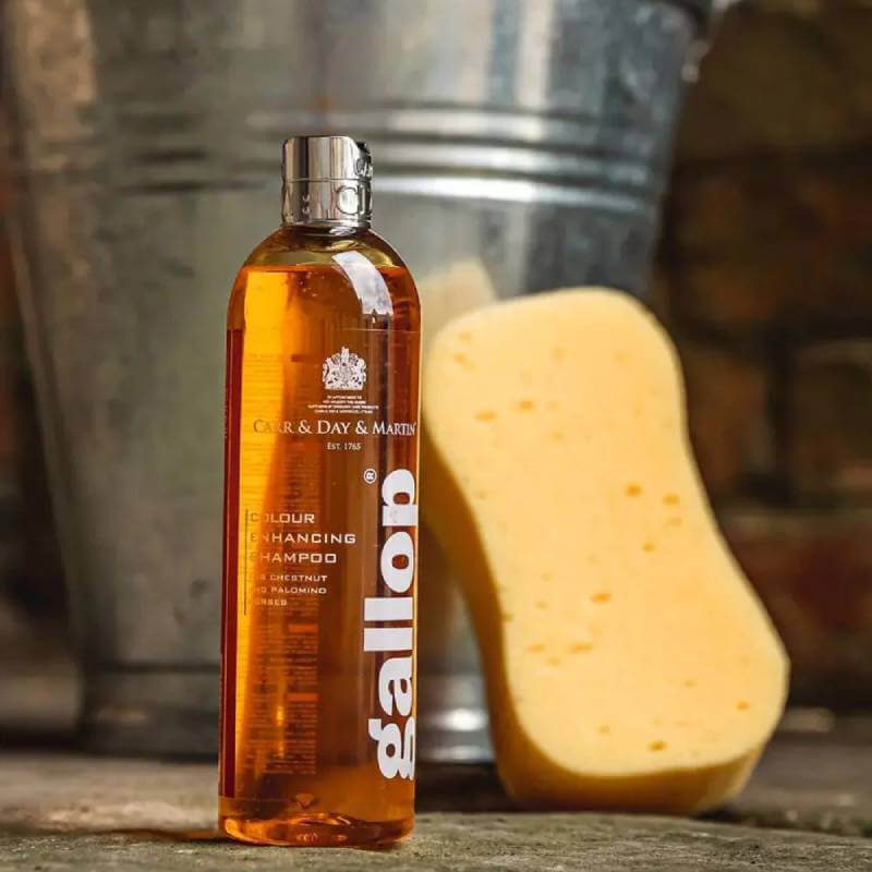 A bottle of Gallop Shampoo Chestnut 500ml is beside a yellow sponge and a metal bucket.