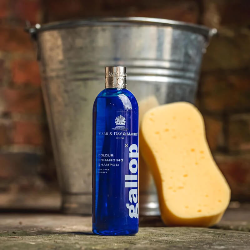 Gallop Shampoo Grey 500ml, yellow sponge, and metal bucket on stone with a brick wall background.