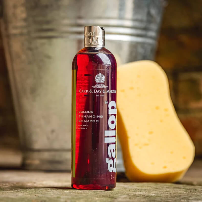 A bottle of Gallop Shampoo Bay 500ml sits by a yellow sponge and a metal bucket for show prep.