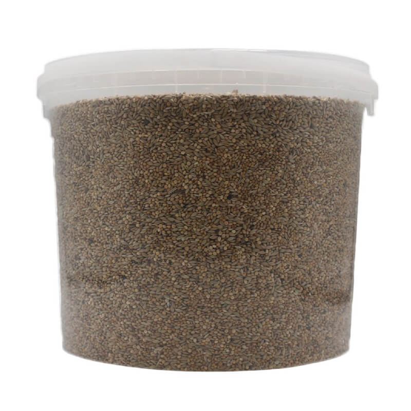 Extra Select Foreign Finch Seed Bucket 3Ltr-Pet n Pony-Extra Select
