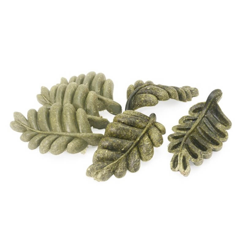 Four green Rosewood Veggie Burst Nibble Leaves treats with timothy hay on a white background.