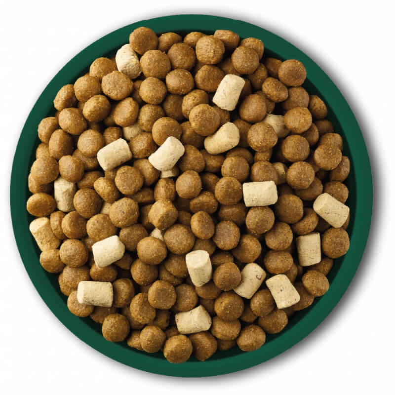 A green bowl of Natures Menu Raw Boost Complete Dog Food Chicken, round brown and tan pieces.