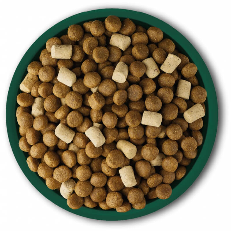 A green bowl filled with Natures Menu Raw Boost Complete Dog Food Beef kibble pieces.