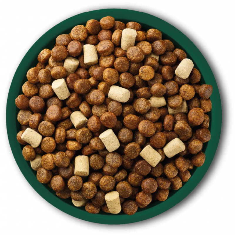 A green bowl of Natures Menu Raw Boost Complete No Grain Dog Food Trout & Fish kibble.