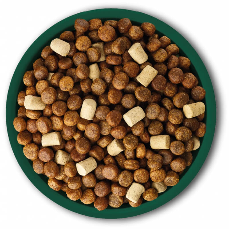 A green bowl with Natures Menu Pork & Lamb dog food kibble.