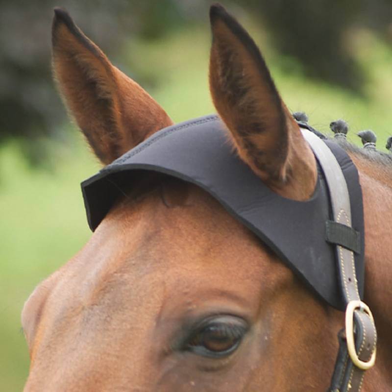 Close-up of a horse wearing the Hy Neoprene Poll Guard Black Cob/Full by Hy, with braided mane.