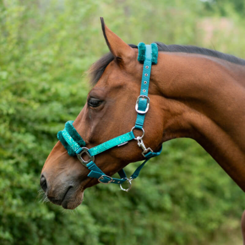 Brown horse in a Hy Dazzle Headcollar Alpine Green, standing outdoors by green bushes.