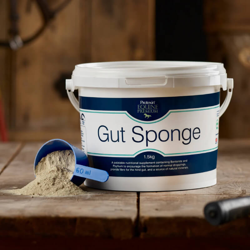 Protexin Gut Sponge 1.5kg tub with a blue scoop on a wooden surface.