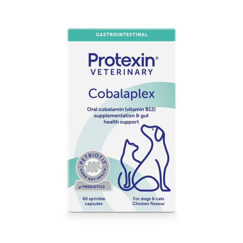 Protexin Cobalaplex 60 Capsule vitamin B12 supplement for dogs & cats, blue and white pack.