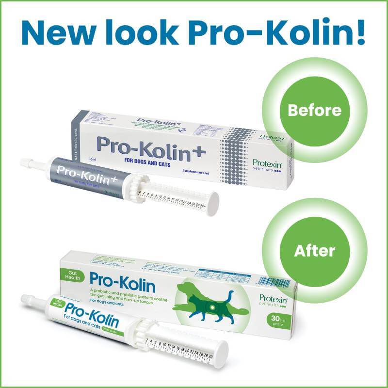 Protexin Pro Kolin 30ml packaging before and after update for GI support syringes.