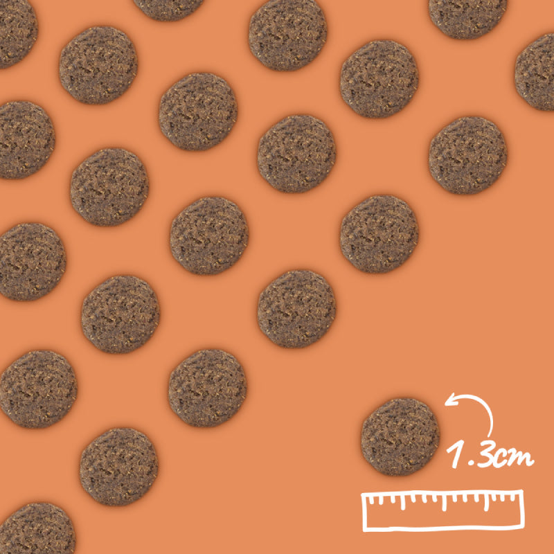Arden Grange VetCare Gastrointestinal kibble, 1.3 cm round, grain free on orange background.