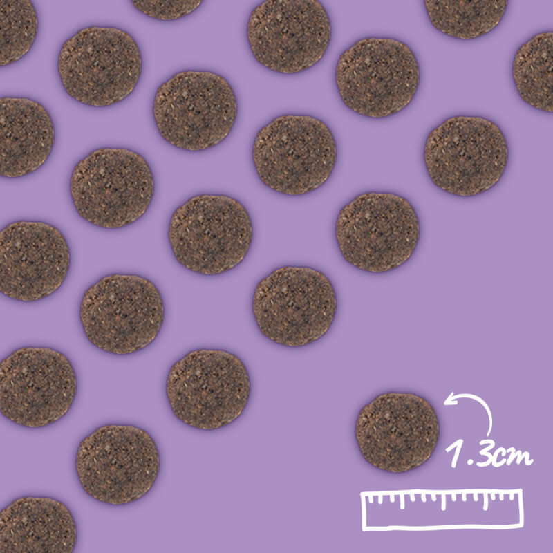 Arden Grange VetCare Renal Dog Dry Food kibble, 1.3 cm, on purple background.