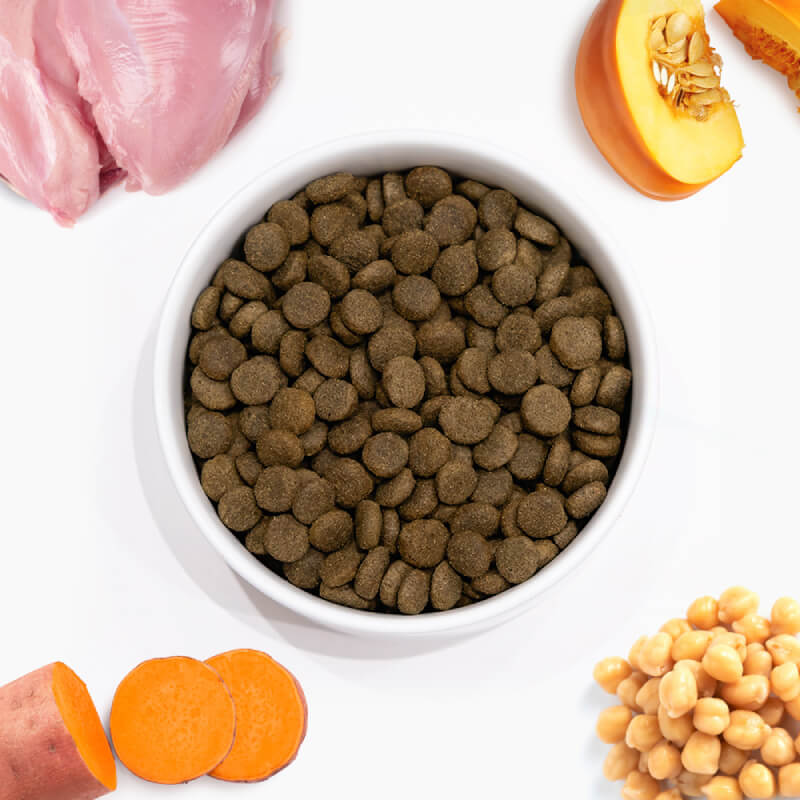 A bowl of Arden Grange VetCare Weight Control Dog Dry Food with chicken, pumpkin, and chickpeas.