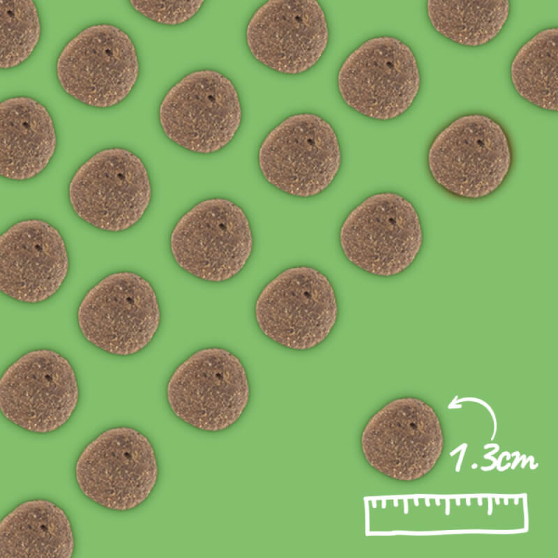 Arden Grange VetCare Weight Control kibble, 1.3 cm size, on green background with ruler shown.