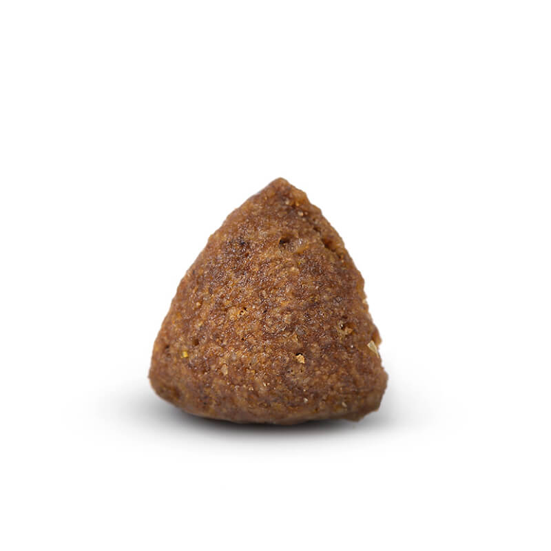 A single Arden Grange Adult Mini Chicken & Rice kibble on a white background.