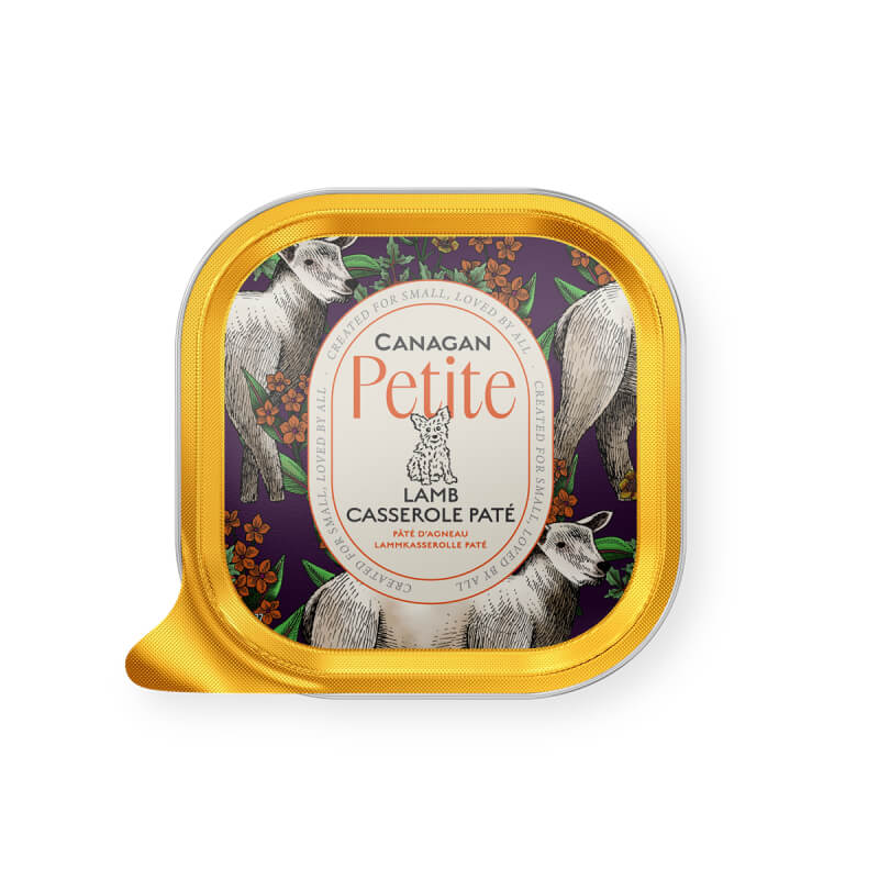 Square Canagan Petite Lamb Casserole Pate for Dogs 100g, lid with dog and floral art.