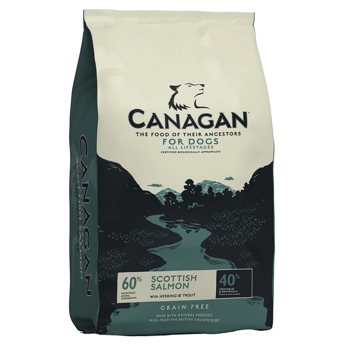 Canagan Scottish Salmon Grain Free Dry Dog Food in nature-inspired packaging.