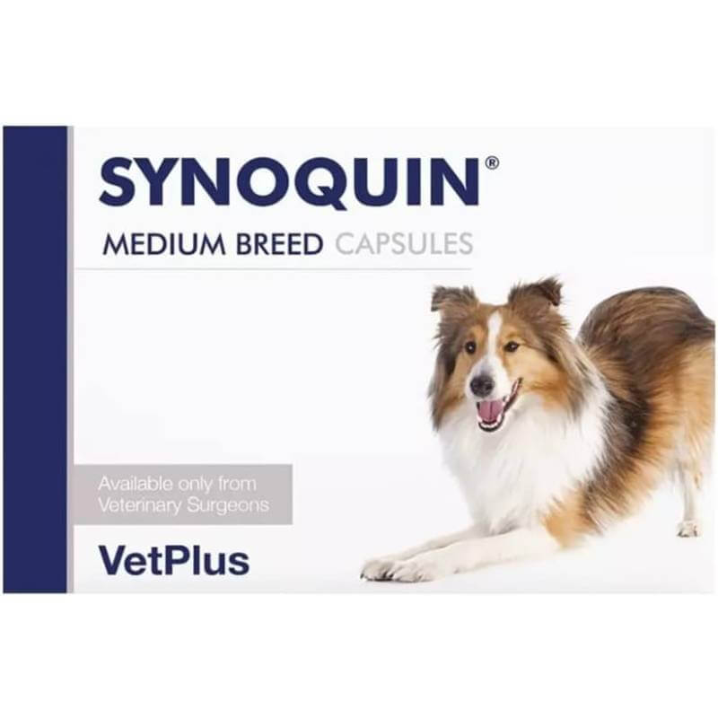 A happy dog lying beside Synoquin Tablets Medium Breed 120 Pack, a trusted joint care supplement.