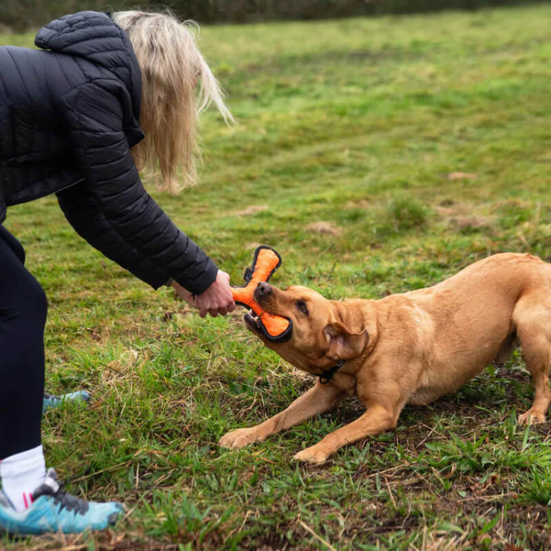 A person and dog play tug-of-war with a Mountain Paws Rubber Throw Dog Toy on grass.