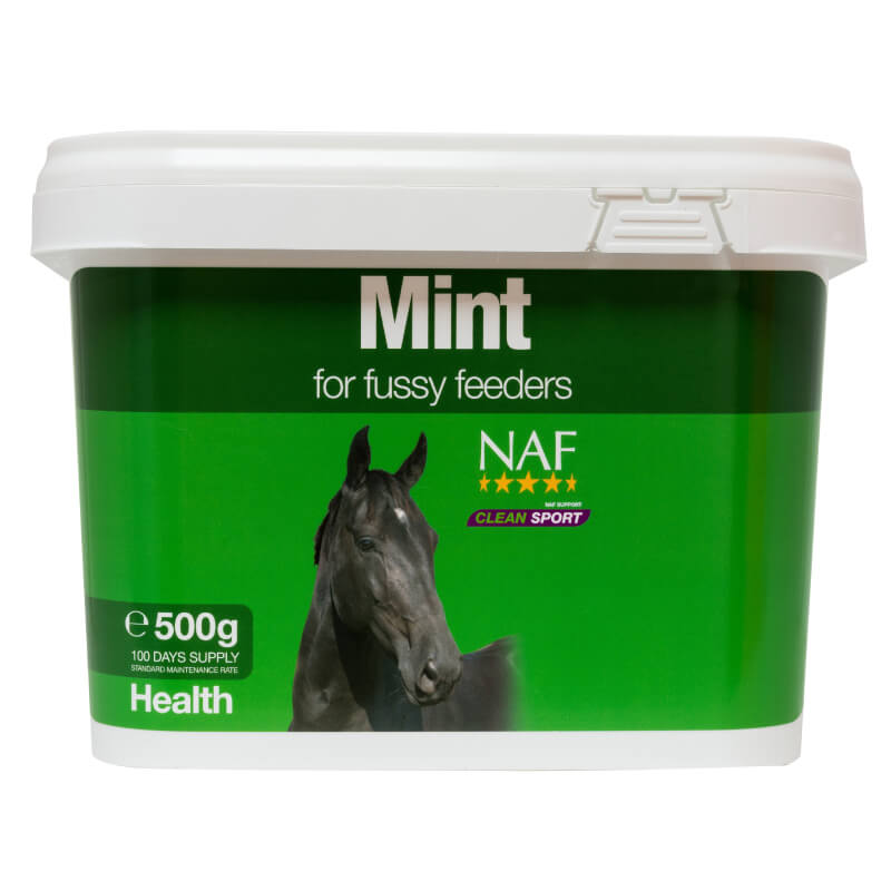 NAF Mint 500g