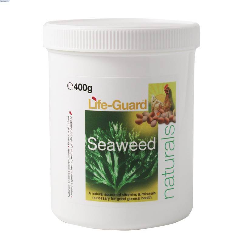 NAF Poultry Seaweed 400g container for poultry immune system support.