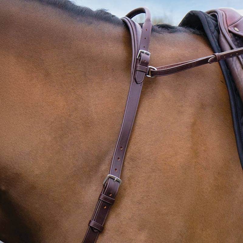 Close-up of a brown horse with Mackey Neck Strap with Handle Brown and leather saddle on its back.