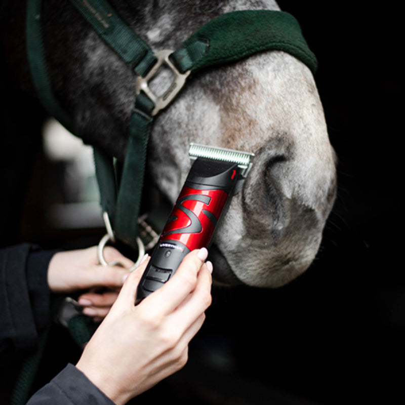A person trims a horse's muzzle with the Liveryman Clipper Harmony Plus Wide Fine Blade 2.4mm.