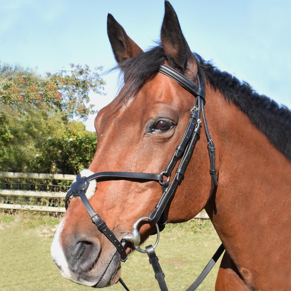 JHL Grackle Bridle