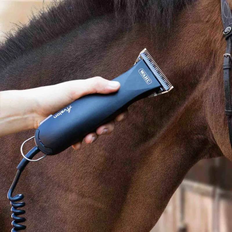 Wahl Avalon Battery Operated Horse Clipper-Pet n Pony-Wahl