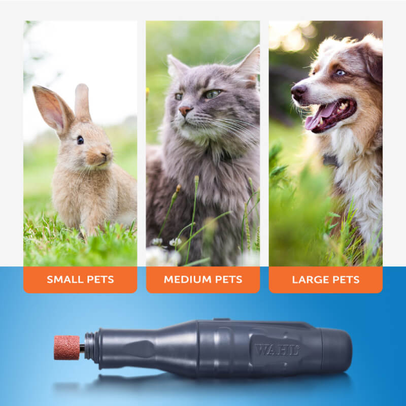 A rabbit, cat, and dog with the Wahl Battery Nail Grinder by Wahl on a blue background.