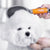 Wahl Pin Brush Orange Gel Handle-Pet n Pony-Wahl