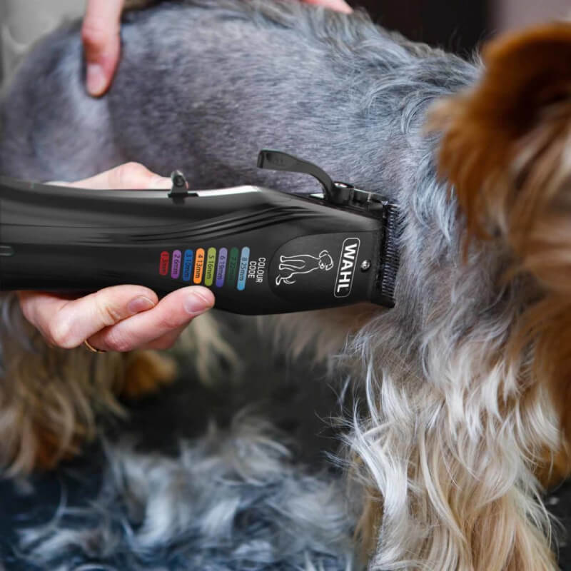 A person grooming their dog at home with the Wahl Colour Pro Rechargeable Pet Clipper Kit.