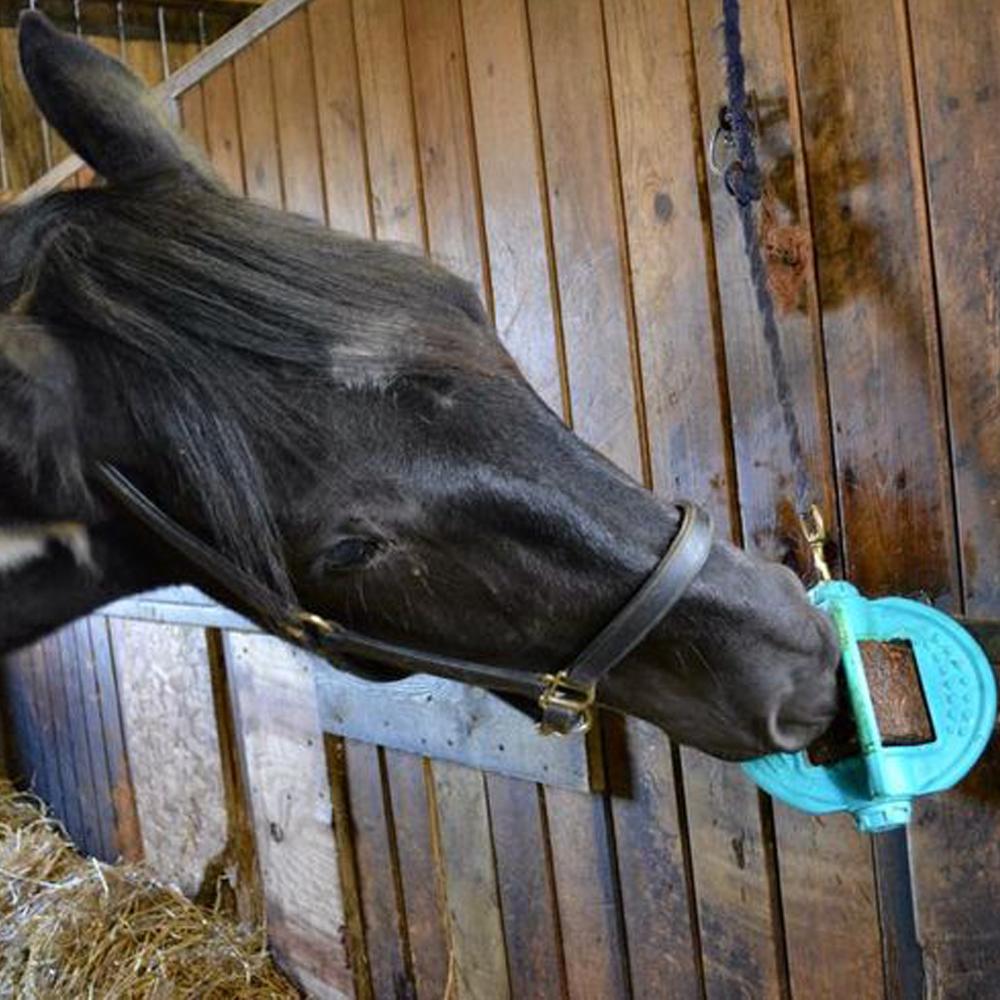 Black horse licking a Likit Bizzy Bites Refill attached to a wooden stable wall.